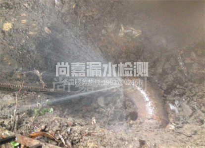 西沙暖气管道漏水检测